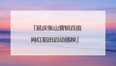 延庆张山营镇百亩网红稻田启动插秧